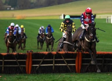 Today's Horse Racing Tips: Monday January 17th