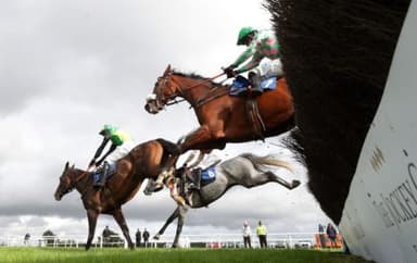 Today's Horse Racing Tips: Sunday November 21st