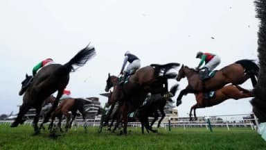 Cheltenham Day 4 selections - Friday March 14th