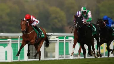Thursday's Horse Racing Tips: Sandown, February 13th